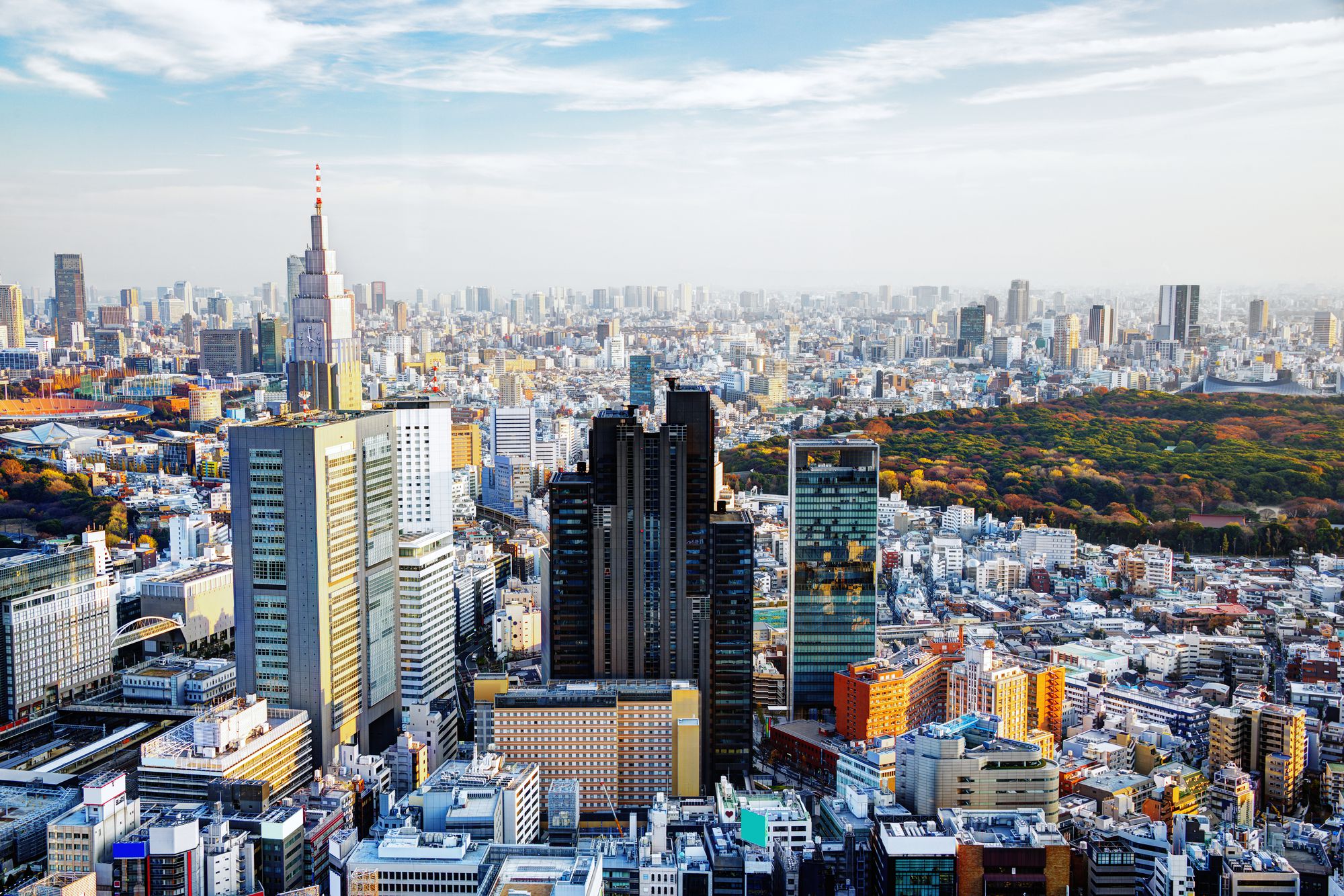 Tokyo country. Синдзюку город. Шинджуку Токио. Япония Токио. Япония Синдзюку.