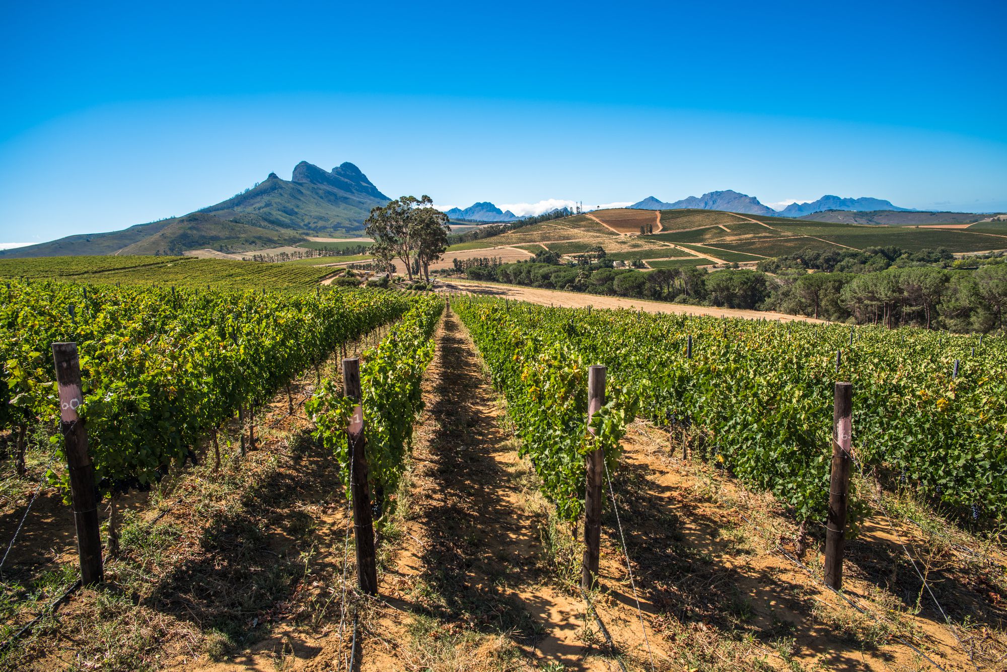 La Petite Ferme In Franschhoek Other Top Photo Spots In Cape Town 