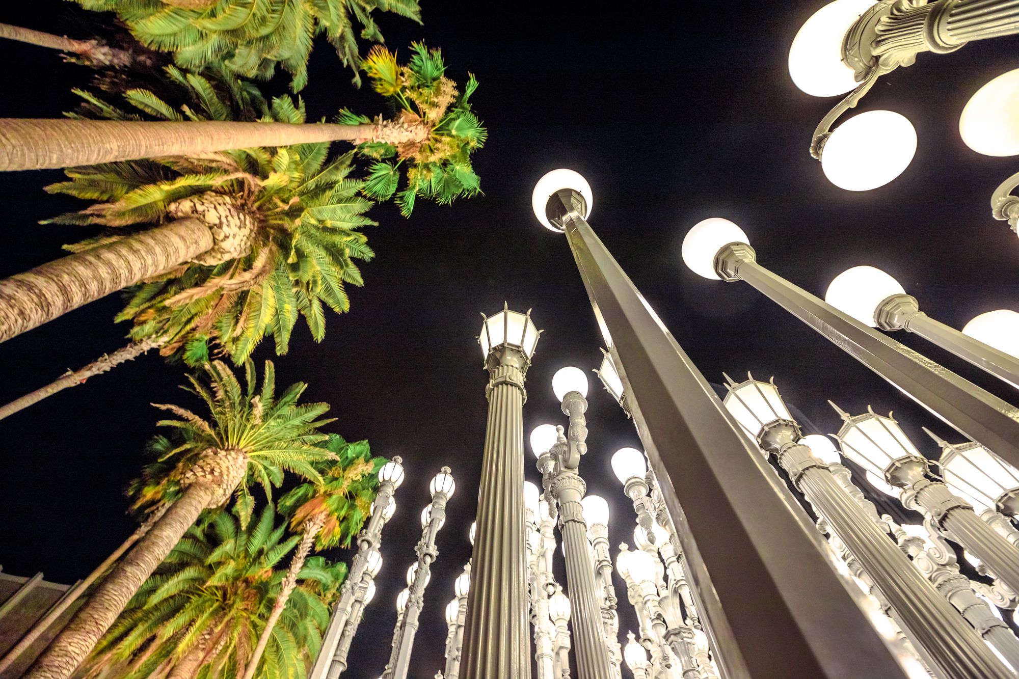 LACMA & Other Top Photo Spots In Los Angeles | Localgrapher