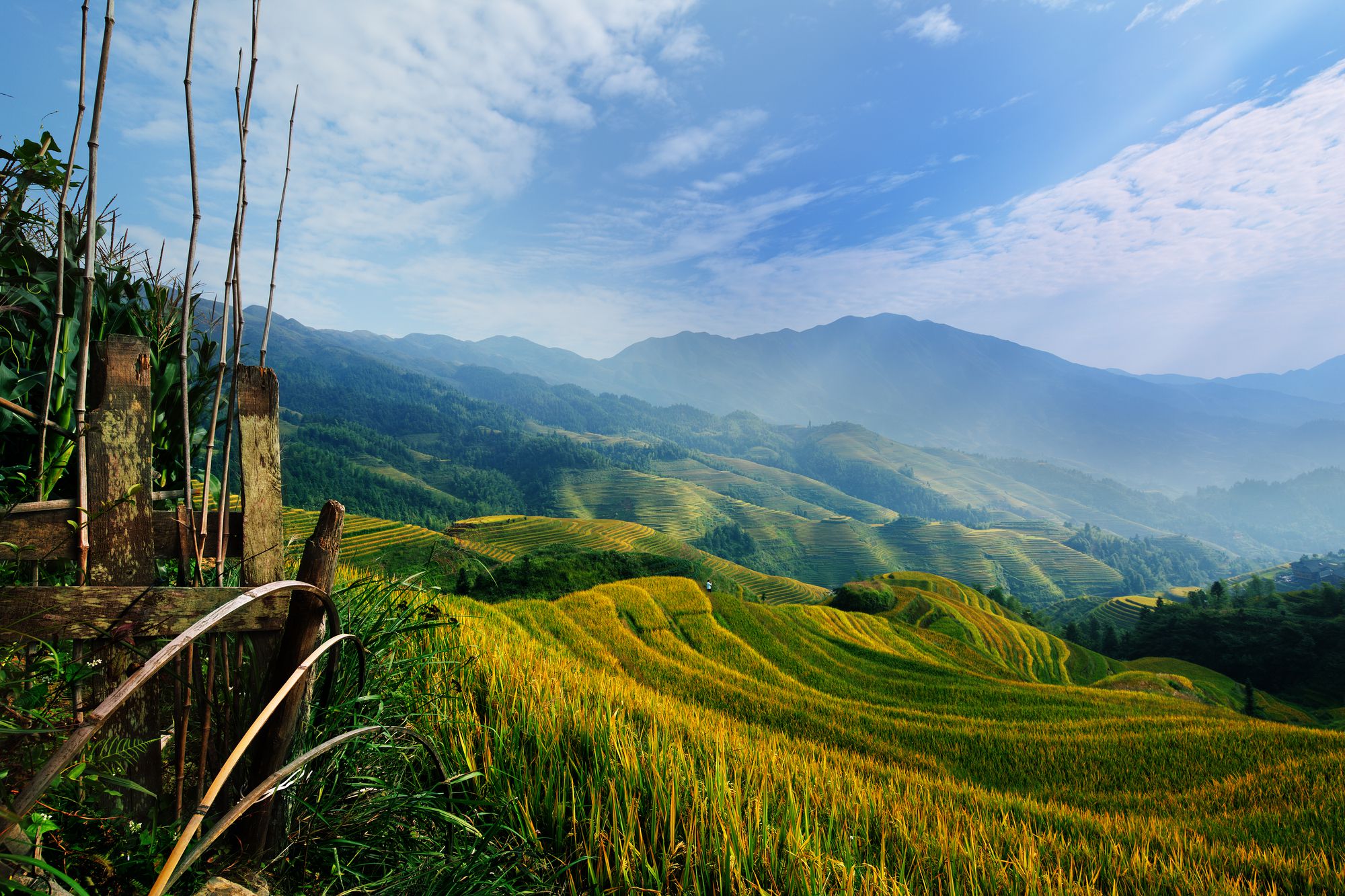 Cadapdapan Rice Terraces & Other Top Photo Spots in Bohol | Localgrapher